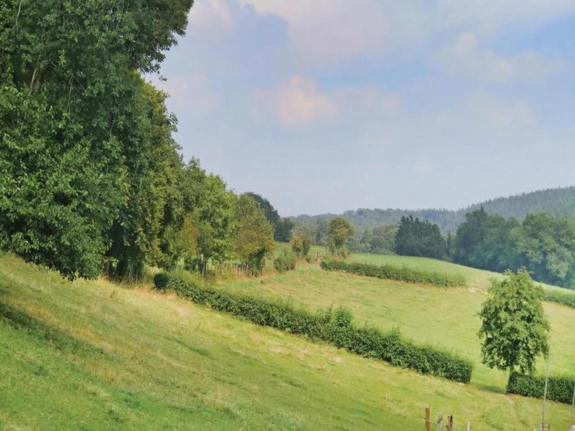 Cottage With A Terrace And A View Of The Valley Aywaille Extérieur photo