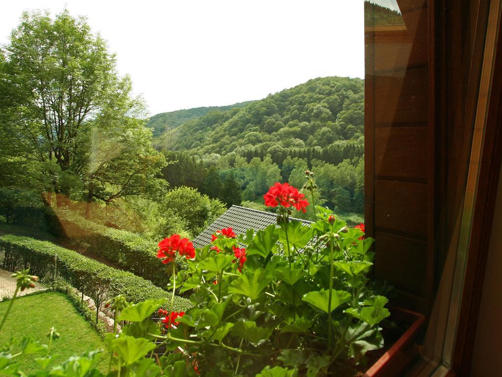Cottage With A Terrace And A View Of The Valley Aywaille Extérieur photo